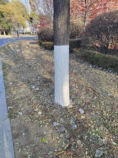 1666659458153214.jpg 4.jpg